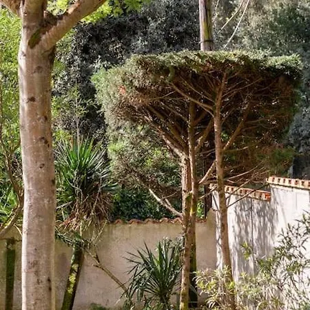 Holiday home La Maison Des Epinouses Chaucre